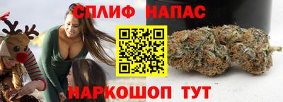МДПВ Донской