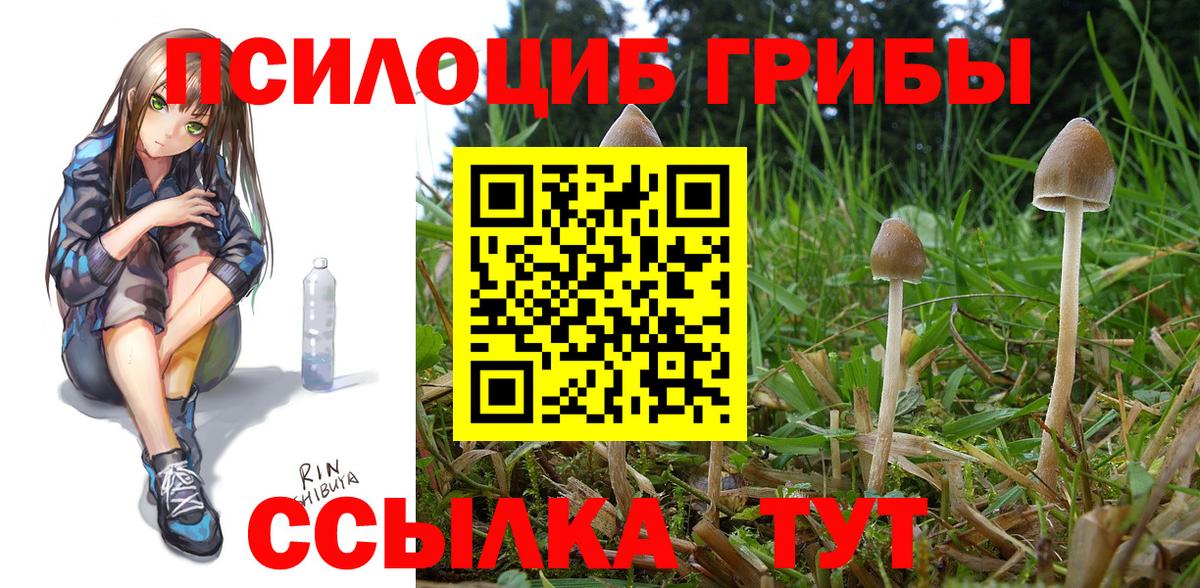цена   Галлюциногенные грибы MAGIC MUSHROOMS  Вход с VPN  Набережные Челны 
